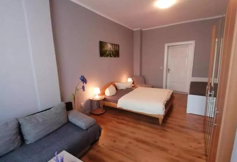 Hotelli Villa Fröhlich