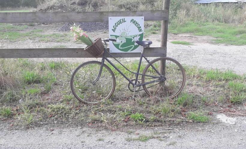 펜션 Au Fabuleux Festin