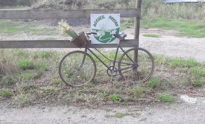 Majatalo Au Fabuleux Festin