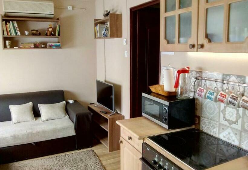 بنسيون Bristol Apartments