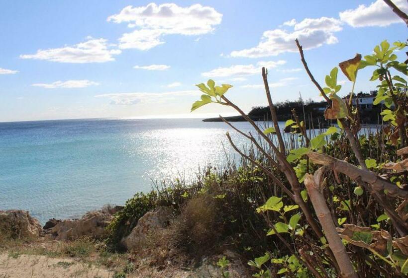 مبيت وإفطار Casa Mita