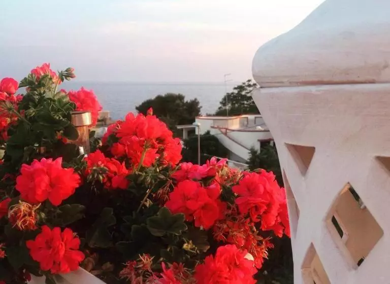 Aamiaismajoitus (B&B) Casa Mita