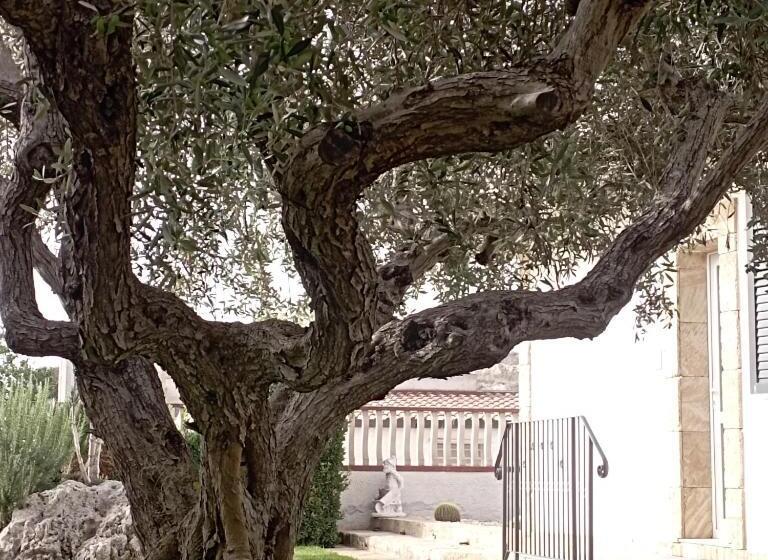 Bed and Breakfast La Casetta Di Viale Paradiso