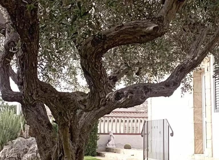 ベッドアンドブレックファースト La Casetta Di Viale Paradiso