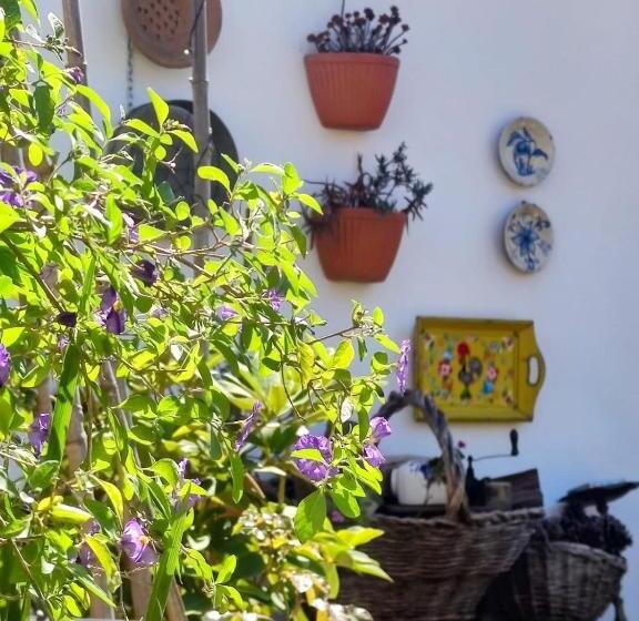 Пансион Beach House Babylon Guest House With Kitchenette And Garden