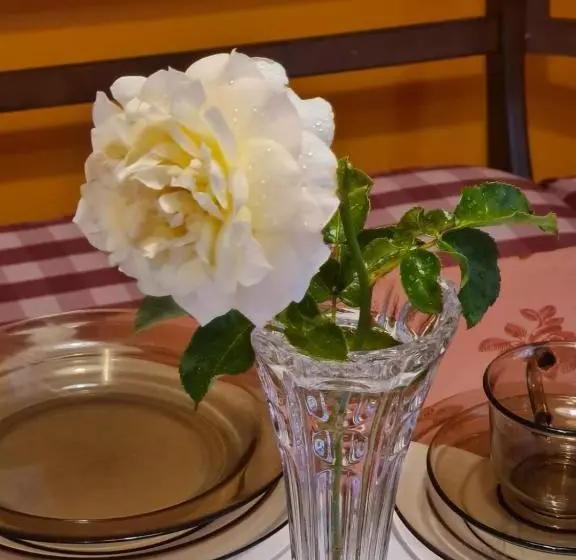 Majatalo Bei Chogman