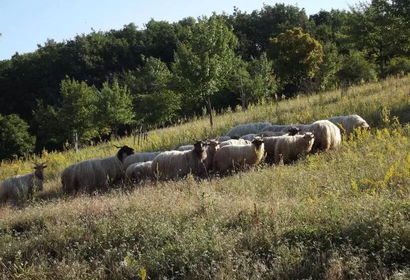 Majatalo Dósa Tanya, Vendégház