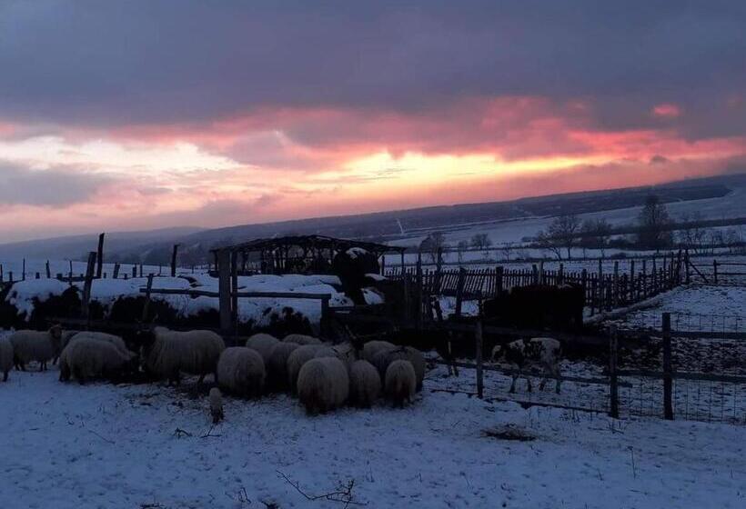 펜션 Dósa Tanya, Vendégház