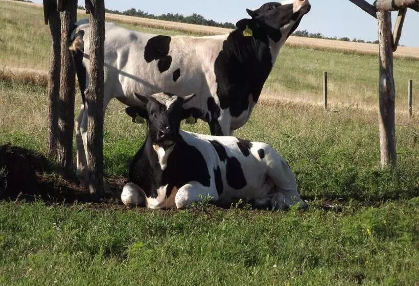 Majatalo Dósa Tanya, Vendégház