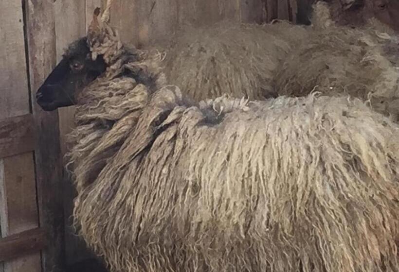 펜션 Dósa Tanya, Vendégház