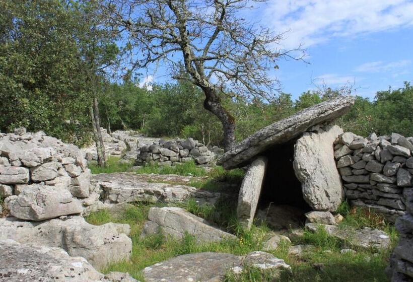 פנסיון Mas Des Falaises