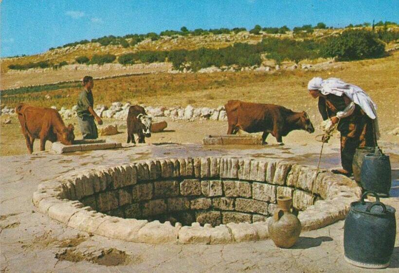 膳宿费 Villa Sacro Cuore