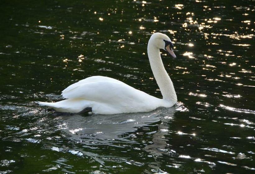 Top Parts Bed & Breakfast