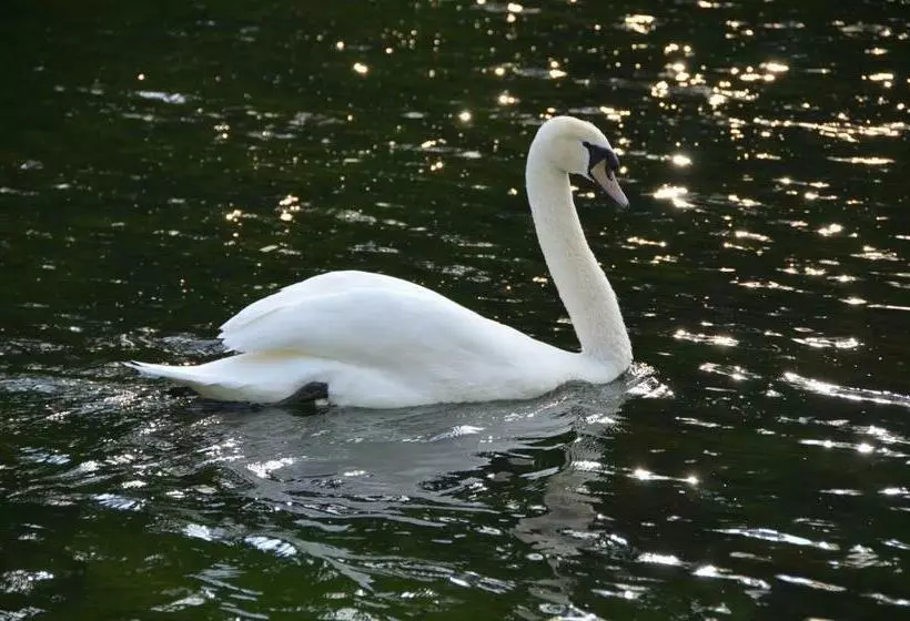 Top Parts Bed & Breakfast