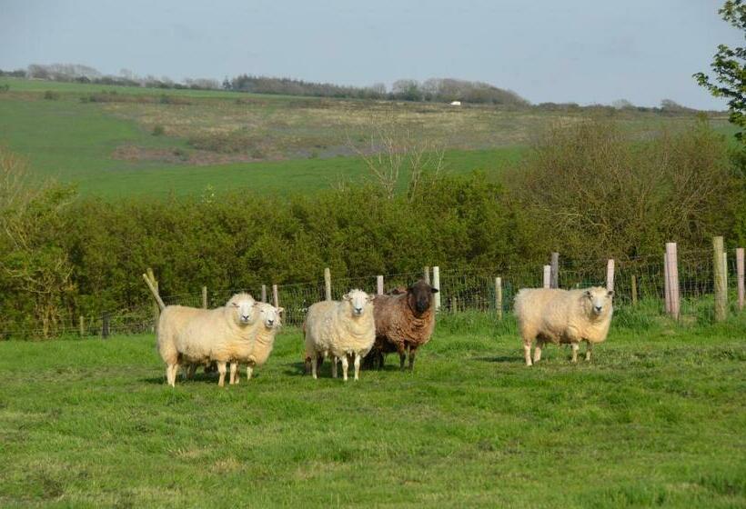 Top Parts Bed & Breakfast