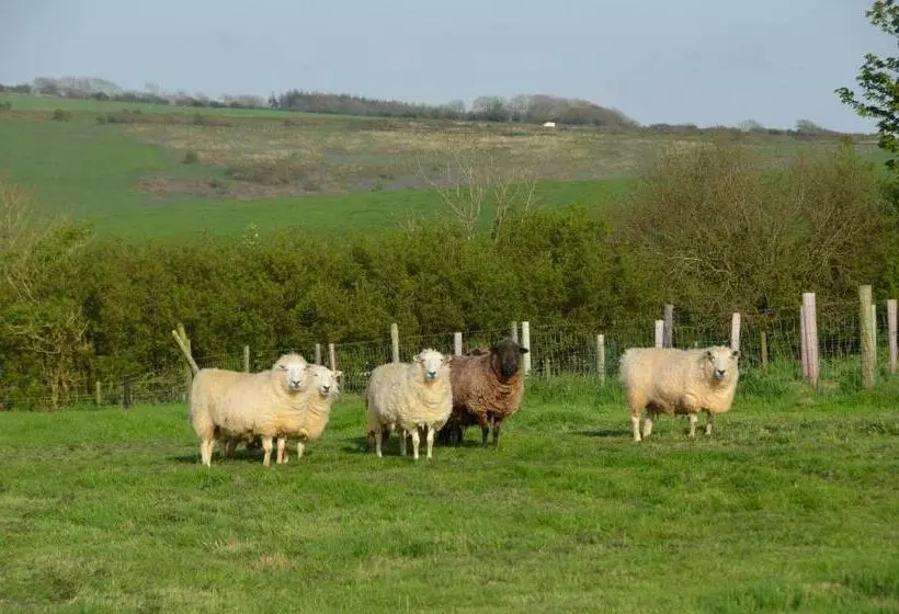 Top Parts Bed & Breakfast