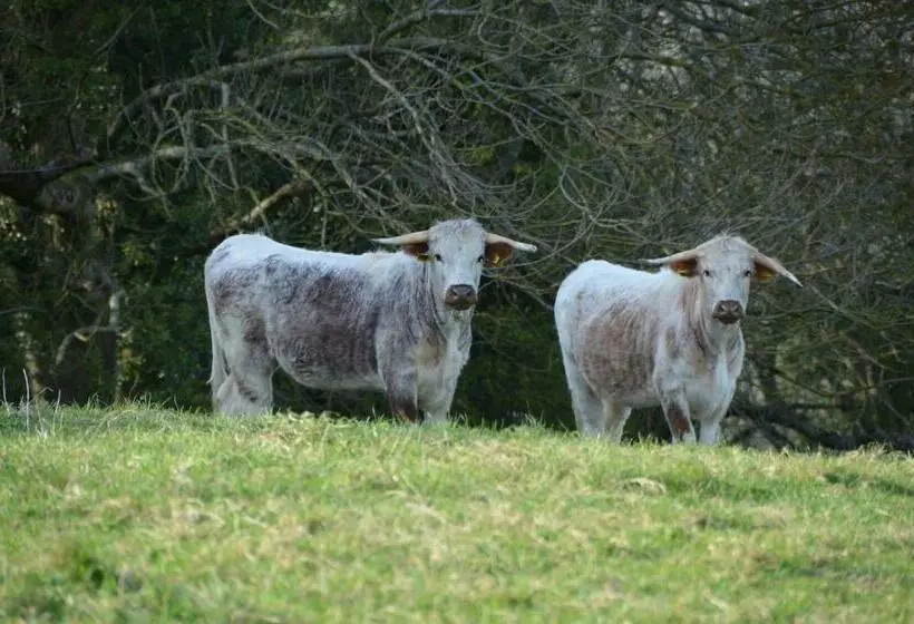 Top Parts Bed & Breakfast