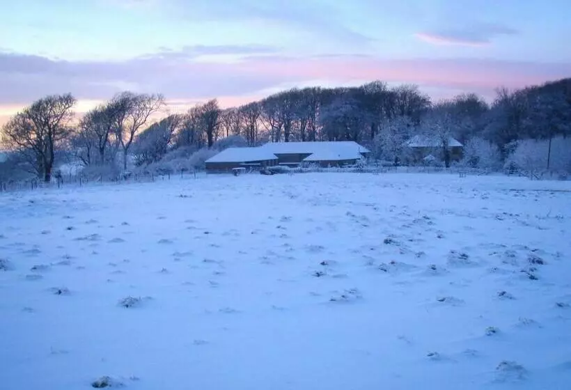 Top Parts Bed & Breakfast