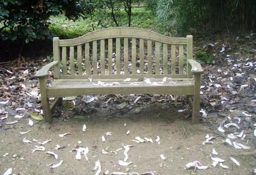 Top Parts Bed & Breakfast