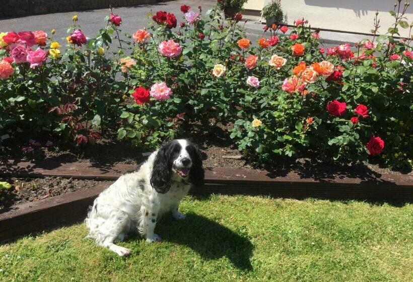 Weir View Bed And Breakfast