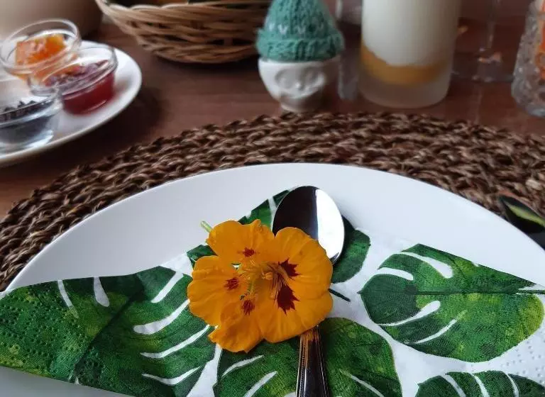 B & B Janneke Elsloo Friesland