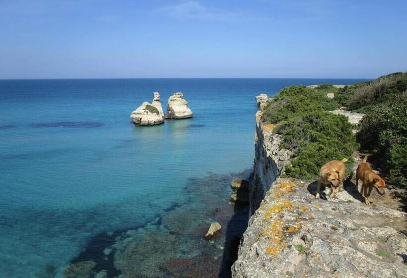 تختخواب و صبحانه Casa D Artista Le Stanze Della Stupidità