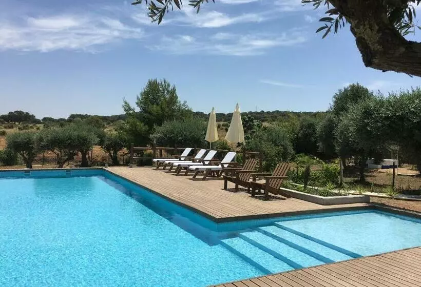 ホテル Aleixo S House | Alentejo