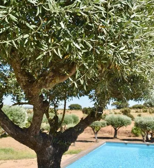 ホテル Aleixo S House | Alentejo