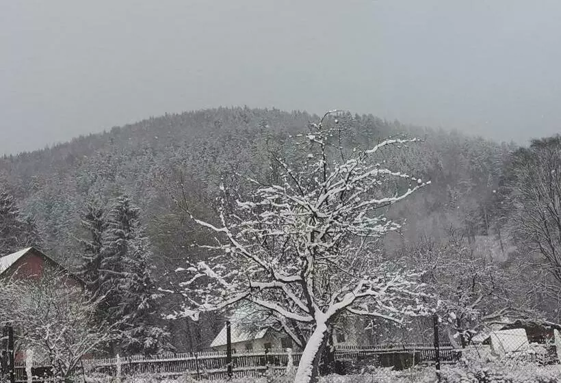 Majatalo Ubytovaní Vila Pramínek