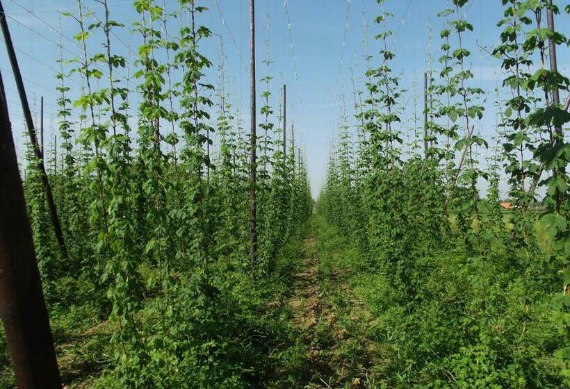 צימר Au Bonheur Frontalier