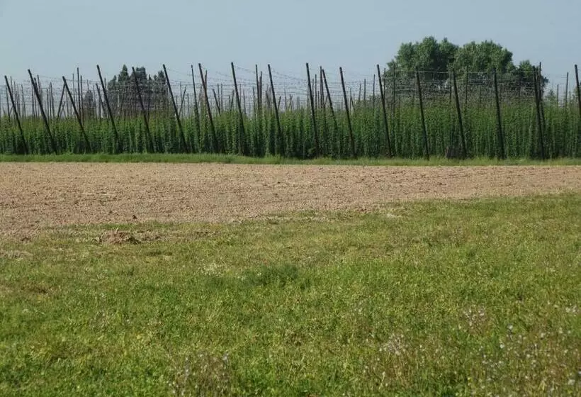 Aamiaismajoitus (B&B) Au Bonheur Frontalier