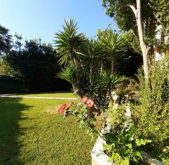 Aamiaismajoitus (B&B) La Gran Dama