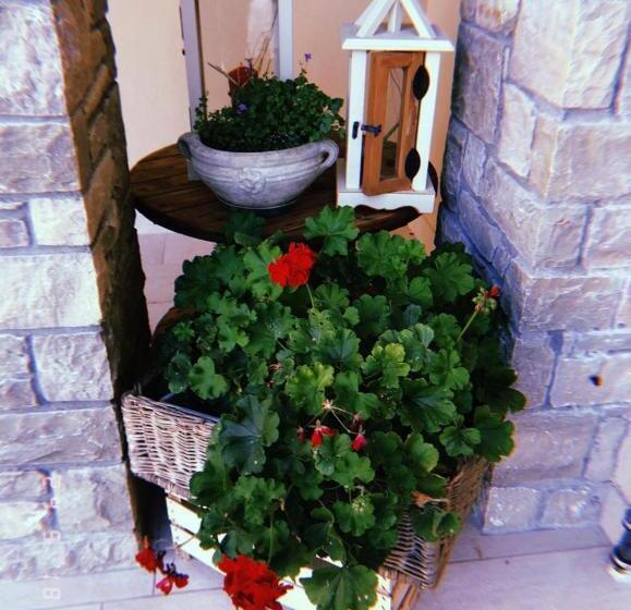 تختخواب و صبحانه Orchidea Del Garda