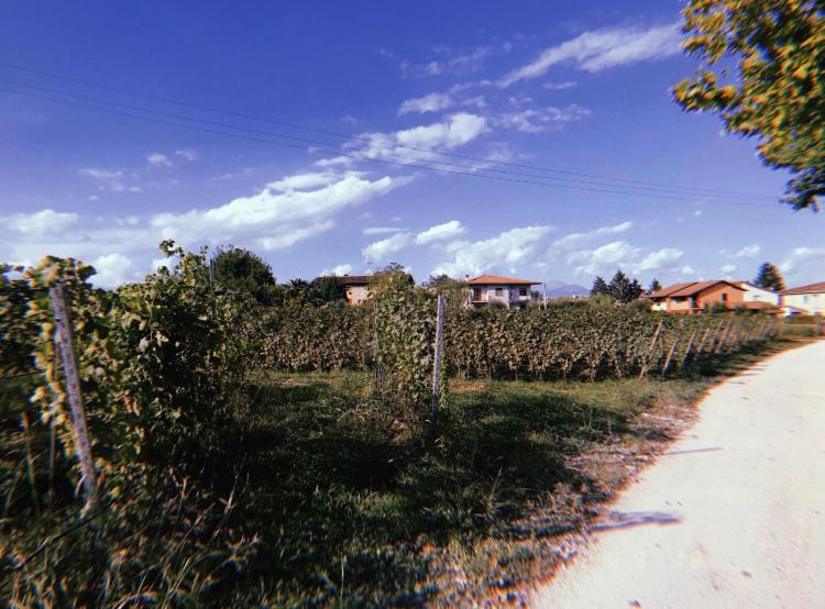 تختخواب و صبحانه Orchidea Del Garda