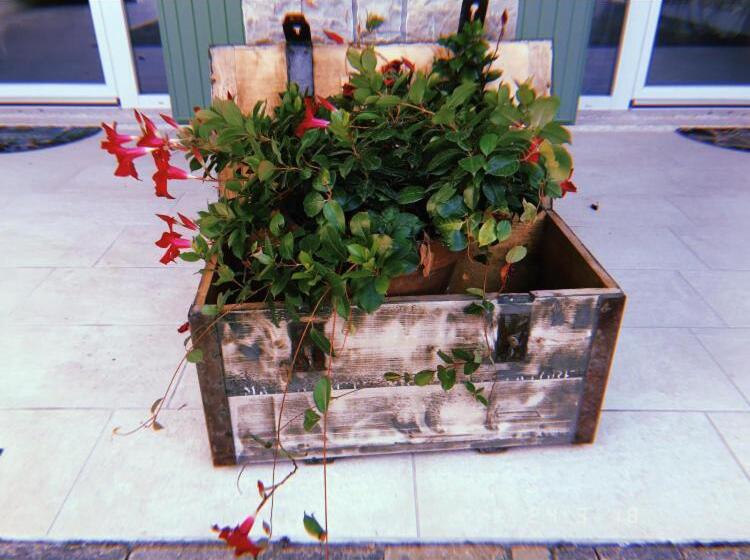 تختخواب و صبحانه Orchidea Del Garda