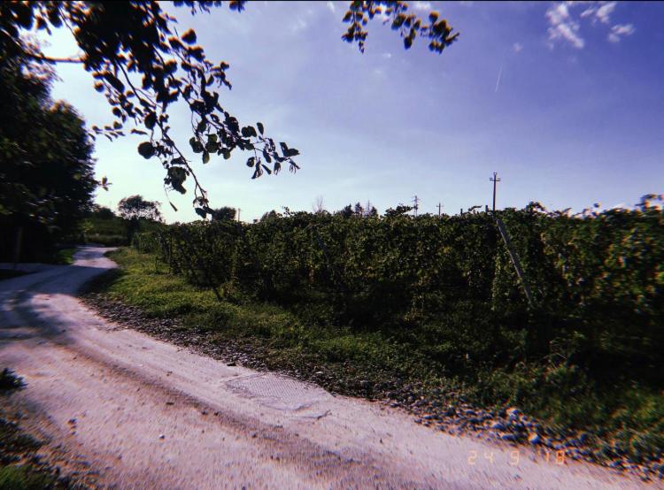 تختخواب و صبحانه Orchidea Del Garda