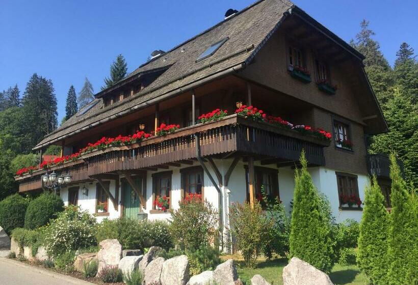 Hollhouse   Bed & Breakfast