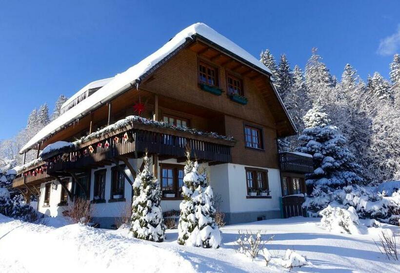 Hollhouse   Bed & Breakfast