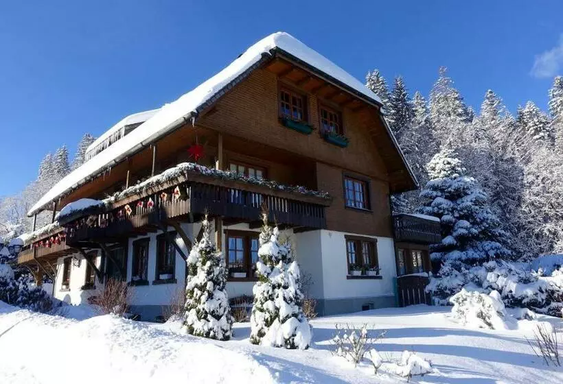 Hollhouse   Bed & Breakfast