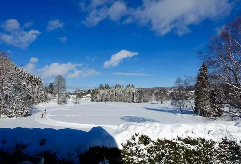 Hollhouse   Bed & Breakfast