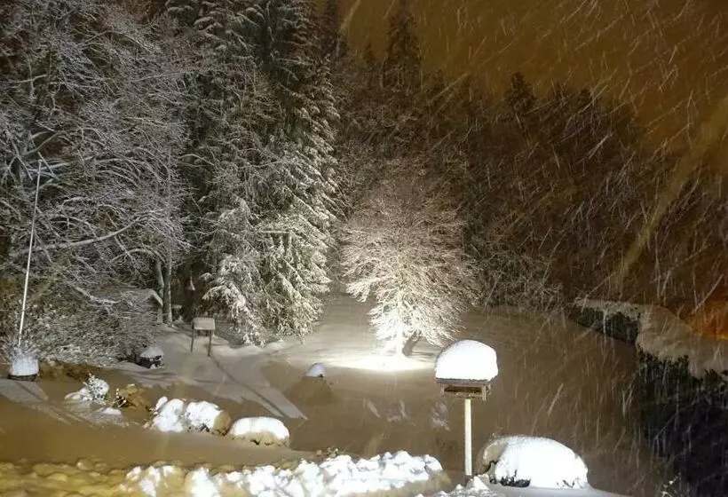 Hollhouse   Bed & Breakfast