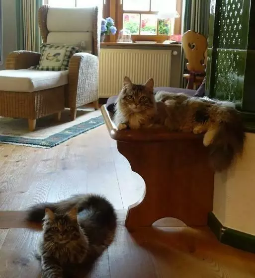 Hollhouse   Bed & Breakfast