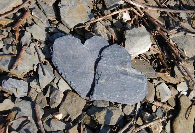 酒店 Landhaus Kuntz