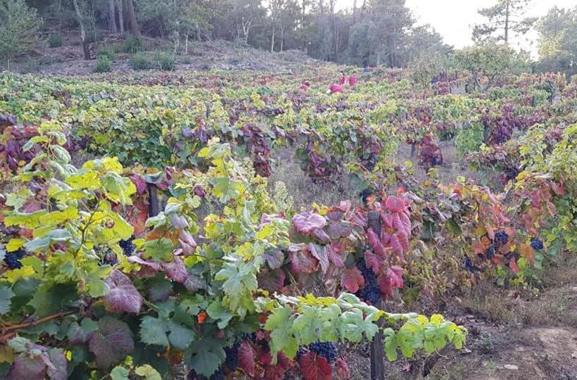 膳宿费 Casa Do Poço   Douro