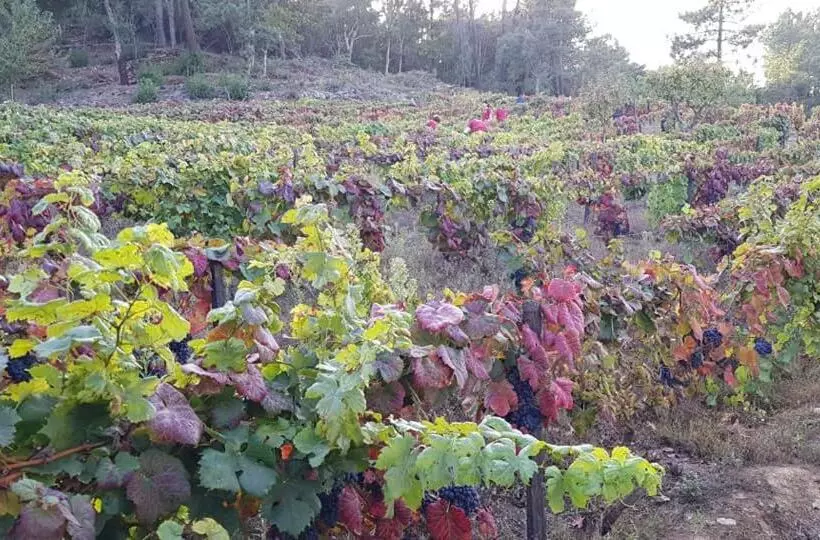 پانسیون Casa Do Poço   Douro