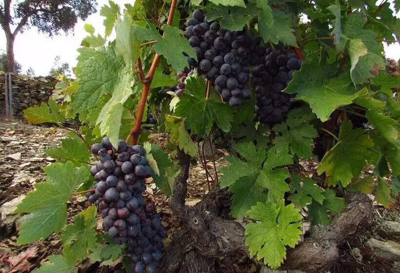 پانسیون Casa Do Poço   Douro