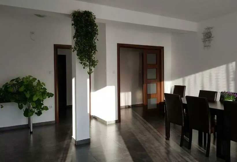 Pension Casa Nagy