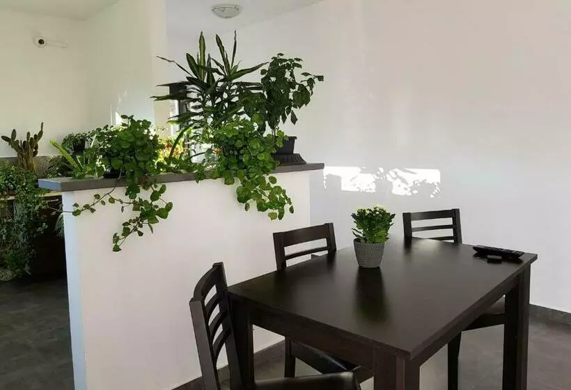 Pension Casa Nagy