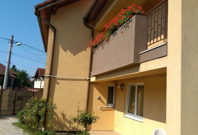 Пансион Sibiu 33