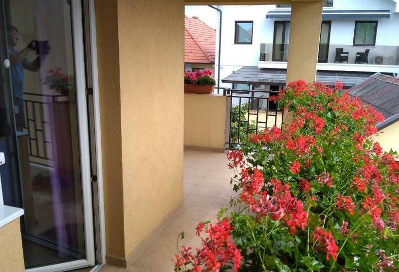 Пансион Sibiu 33